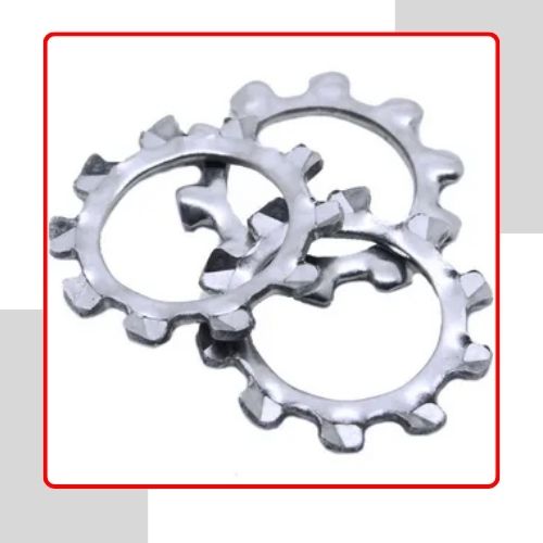 316 SS Star Washers in UAE