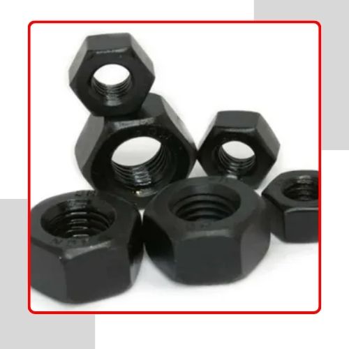 Carbon Steel Nuts in UAE