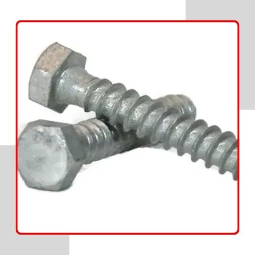 Galvanized Flat Screws in UAE