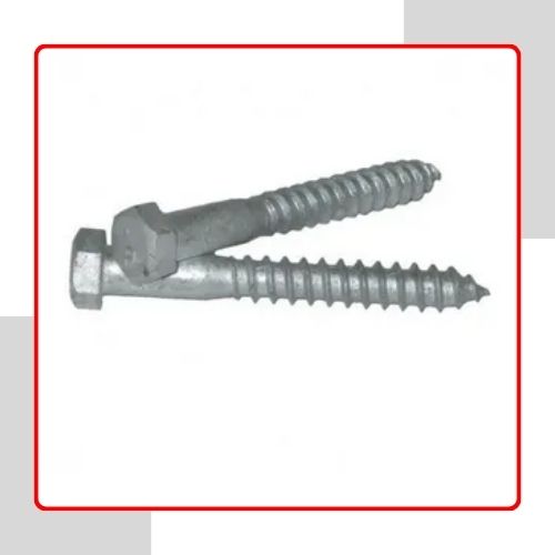 Galvanized Screw in UAE