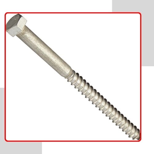 Nickel Alloy Lag Screw in UAE