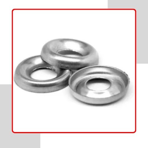 SS 446 Dock Washers in UAE