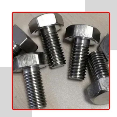 Stainless Steel Leg Bolt in UAE